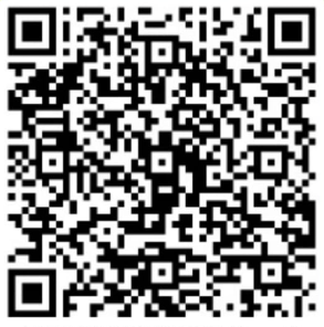 UPI QR Code